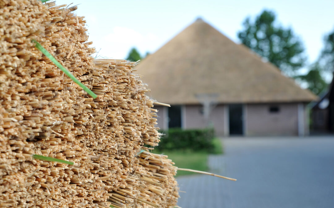 Rietdekkersbedrijf Schipper